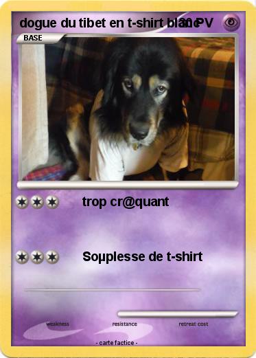 Pokemon dogue du tibet en t-shirt blanc