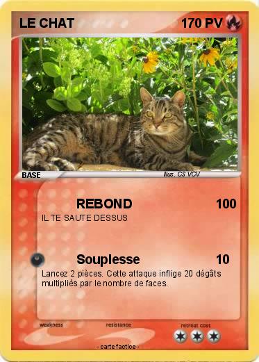 Pokemon LE CHAT