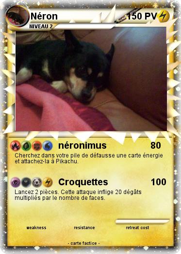 Pokemon Néron