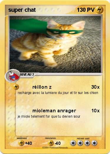 Pokemon super chat 