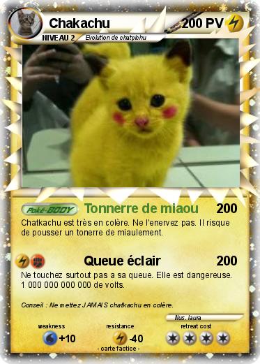 Pokemon Chakachu