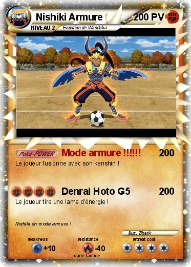 Pokemon Nishiki Armure