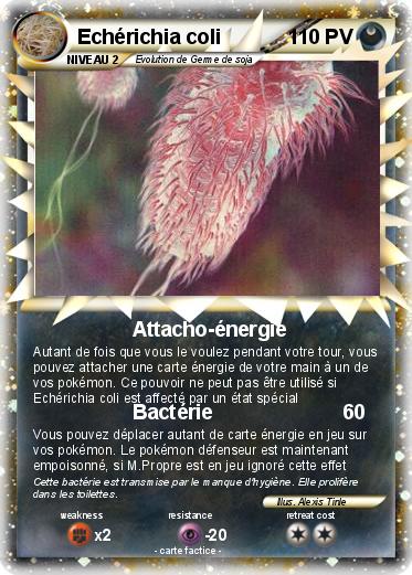 Pokemon Echérichia coli