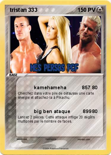 Pokemon  tristan 333 