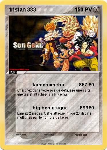 Pokemon  tristan 333 