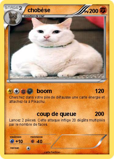 Pokemon chobèse