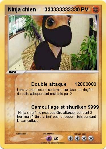 Pokemon Ninja chien      3333333333
