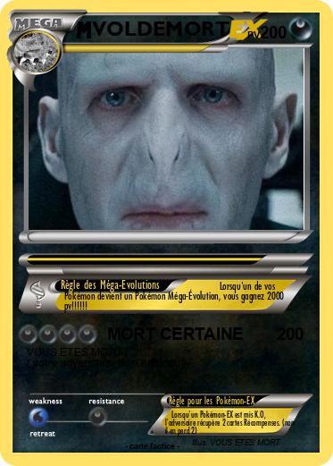 Pokemon VOLDEMORT