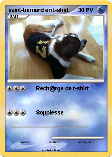 Pokemon saint-bernard en t-shirt
