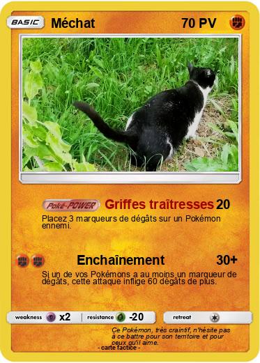 Pokemon Méchat