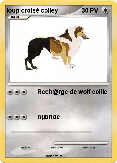 Pokemon loup croisé colley