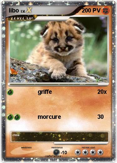 Pokemon libo