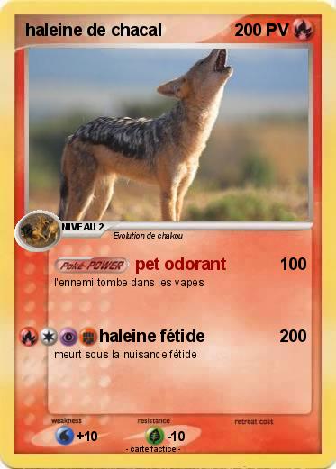 Pokemon haleine de chacal