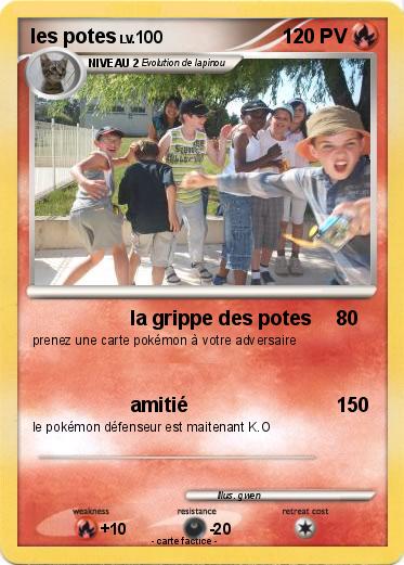 Pokemon les potes
