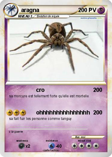 Pokemon aragna