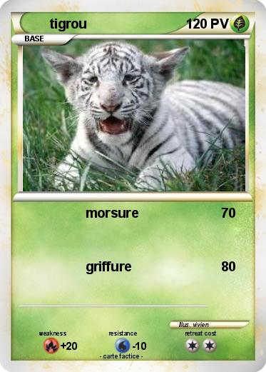 Pokemon tigrou