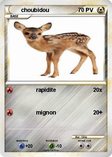 Pokemon choubidou