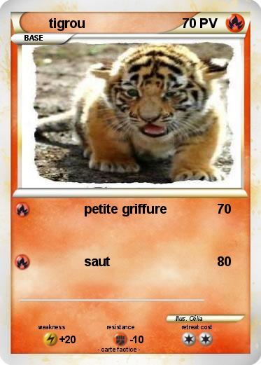 Pokemon tigrou