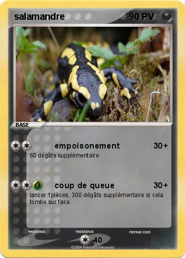 Pokemon salamandre