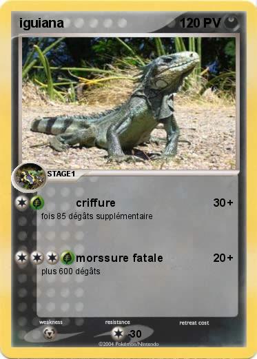 Pokemon iguiana