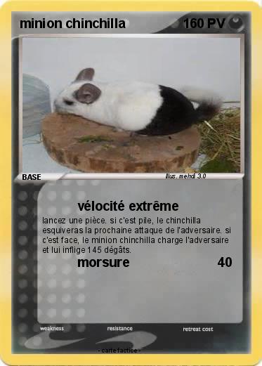 Pokemon minion chinchilla