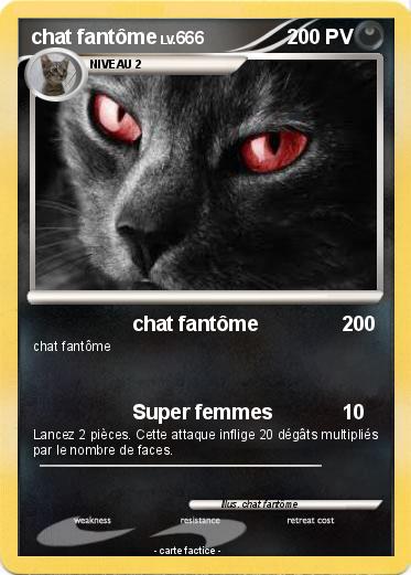 Pokemon chat fantôme