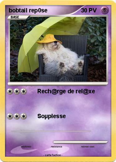 Pokemon bobtail rep0se
