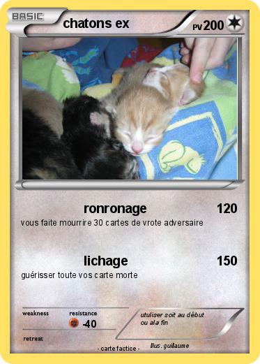 Pokemon chatons ex