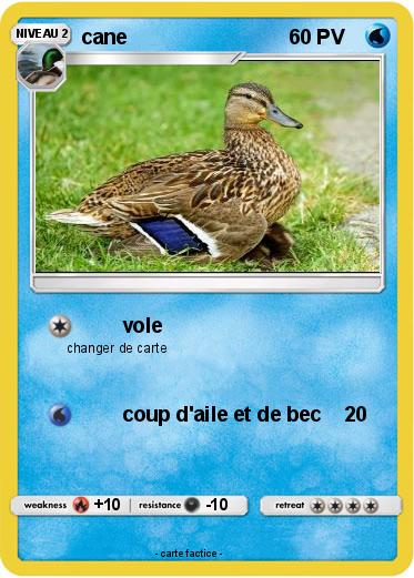 Pokemon cane