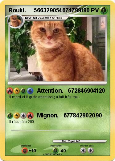 Pokemon Rouki.     566329054674799