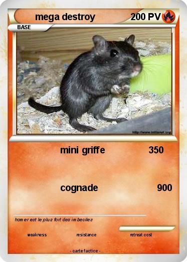 Pokemon mega destroy