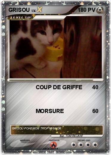Pokemon GRISOU