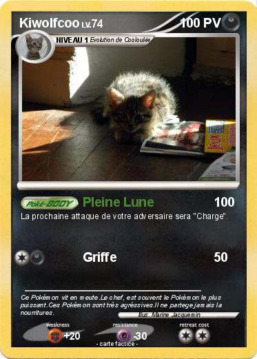 Pokemon Kiwolfcoo