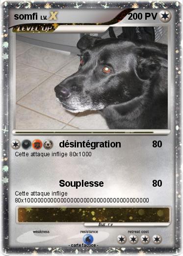 Pokemon somfi