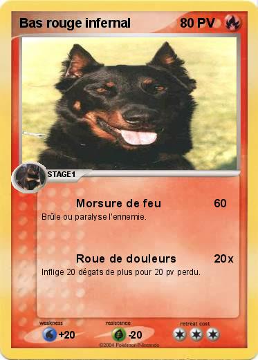 Pokemon Bas rouge infernal