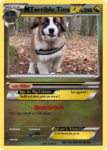 Pokemon Terrible Tina