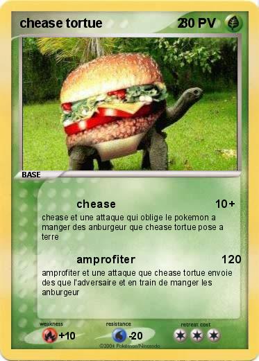 Pokemon chease tortue                     2