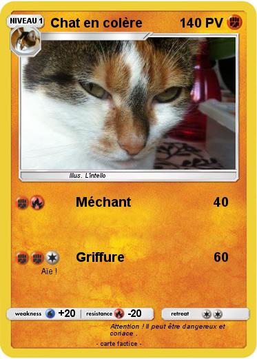 Pokemon Chat en colère