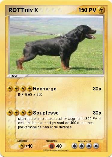 Pokemon ROTT niv X