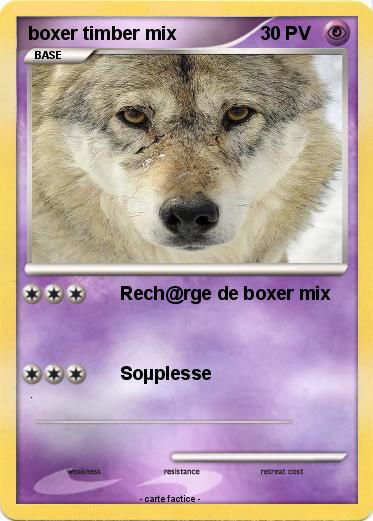 Pokemon boxer timber mix
