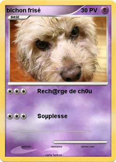 Pokemon bichon frisé