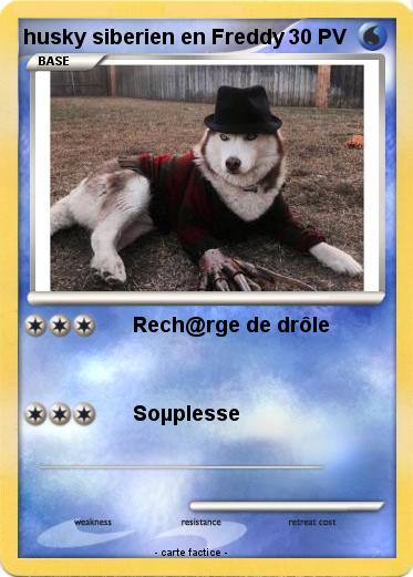 Pokemon husky siberien en Freddy