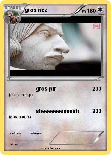 Pokemon gros nez