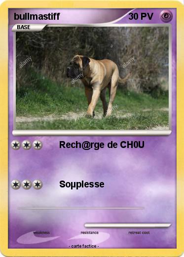 Pokemon bullmastiff