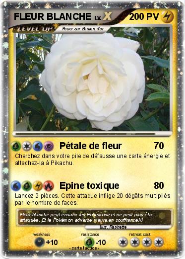 Pokemon FLEUR BLANCHE