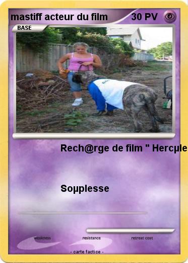 Pokemon mastiff acteur du film