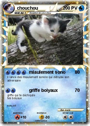 Pokemon chouchou