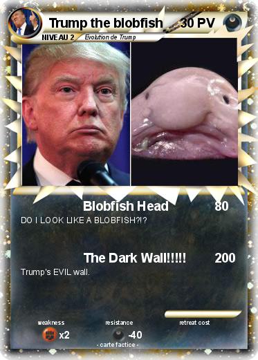 Pokemon Trump the blobfish