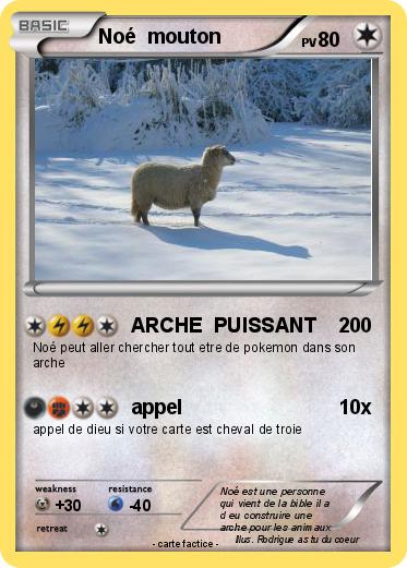 Pokemon Noé  mouton