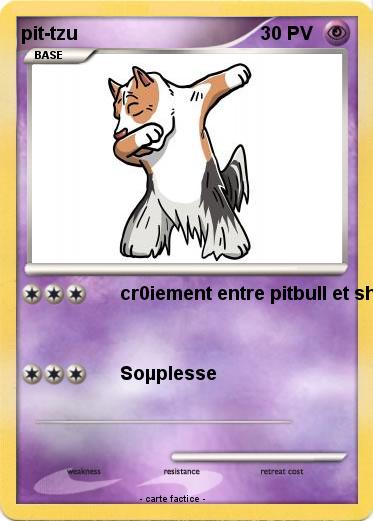 Pokemon pit-tzu